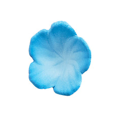 Kadokawa 1/7 PVC 普遍體 「Nemophila」《異世界情緒》