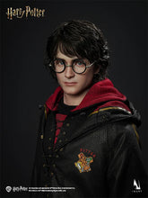 Harry Potter and the Goblet of Fire - Harry Potter 1/6 Collectible Figure / 哈利波特 與火焰杯 - 哈利波特 1/6 可收藏人偶
