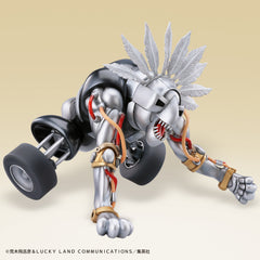 Statue Legend The Fool / 雕像傳奇愚人