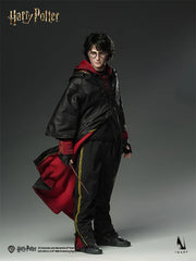 Harry Potter and the Goblet of Fire - Harry Potter 1/6 Collectible Figure / 哈利波特 與火焰杯 - 哈利波特 1/6 可收藏人偶