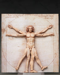 Freeing Figma  SP-075 維特魯威人體圖  《桌上美術館》